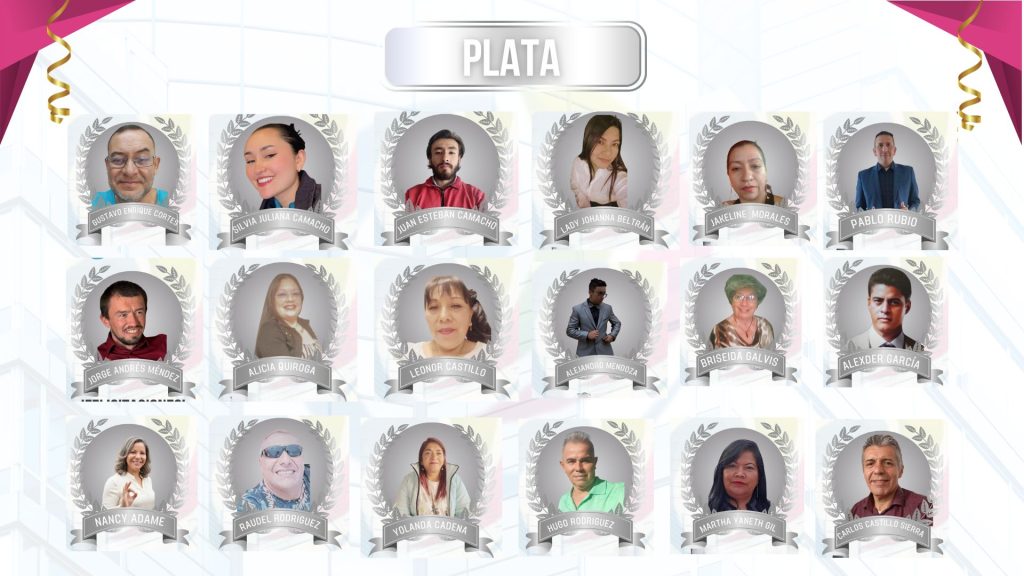 PLATA CONSULTORES